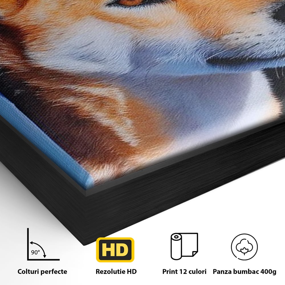 Detaliu al suprafetei: tablou canvas cu portret de caine shiba, in rama de aluminiu negru